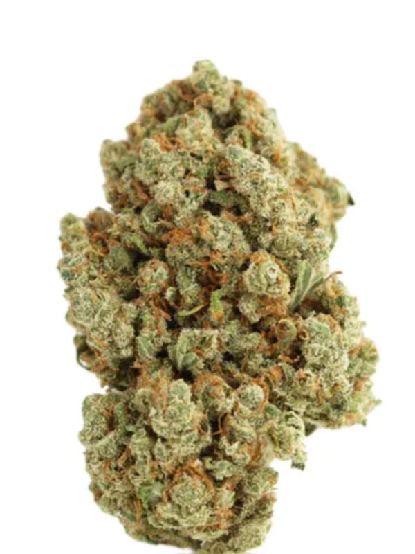 Jack Herer